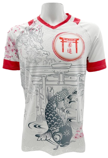 resultat final judo club de tullins