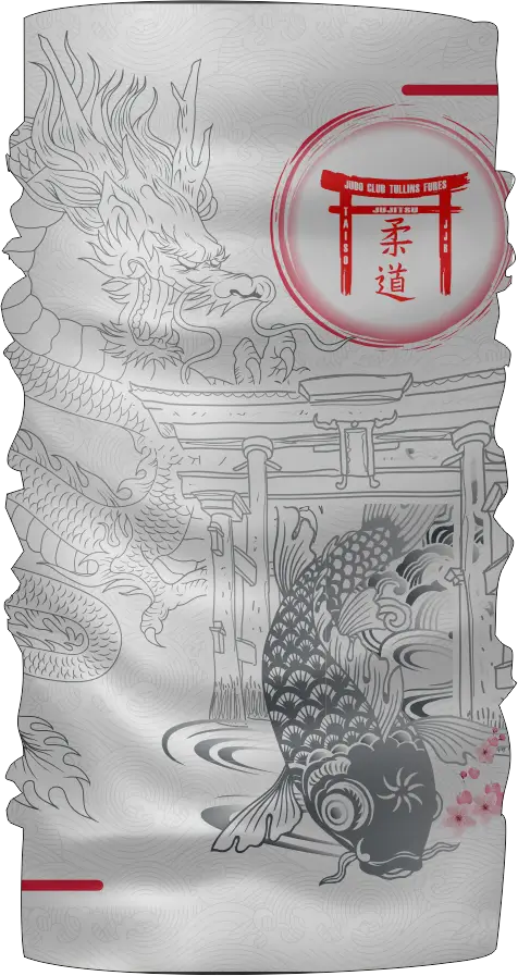 Aperçu du maillot JUDO TULLINS