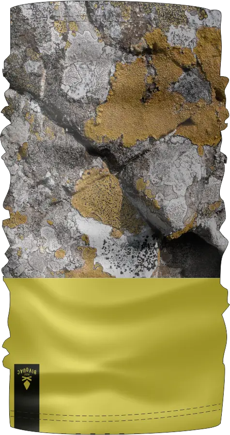 Aperçu du maillot PETIT BIVOUAC 1